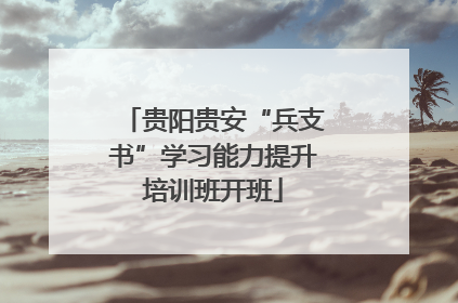 贵阳贵安“兵支书”学习能力提升培训班开班