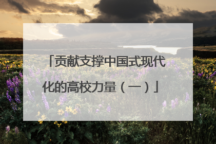 贡献支撑中国式现代化的高校力量（一）