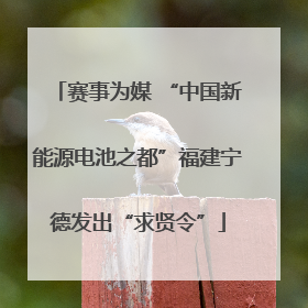 赛事为媒 “中国新能源电池之都”福建宁德发出“求贤令”