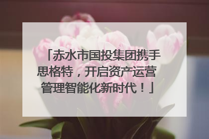 赤水市国投集团携手思格特，开启资产运营管理智能化新时代！