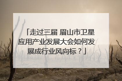 走过三届 眉山市卫星应用产业发展大会如何发展成行业风向标？