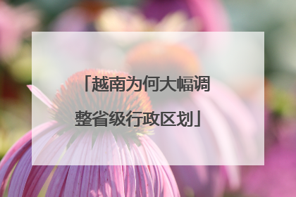 越南为何大幅调整省级行政区划