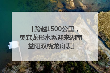 跨越1500公里，奥森龙形水系迎来湖南益阳双桡龙舟表