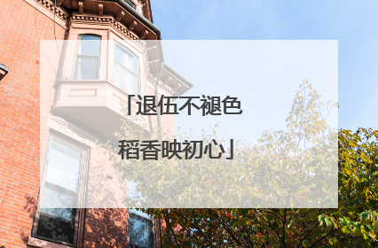 退伍不褪色 稻香映初心