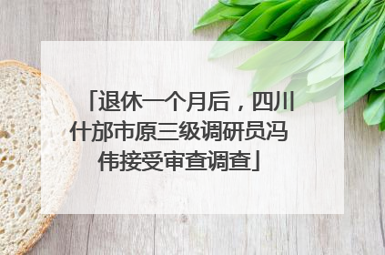 退休一个月后，四川什邡市原三级调研员冯伟接受审查调查