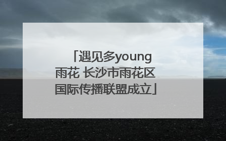 遇见多young雨花 长沙市雨花区国际传播联盟成立