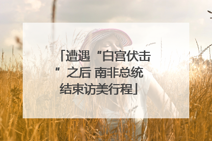 遭遇“白宫伏击”之后 南非总统结束访美行程