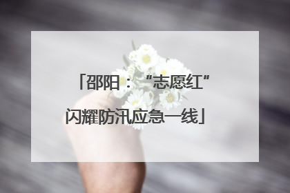 邵阳：“志愿红”闪耀防汛应急一线