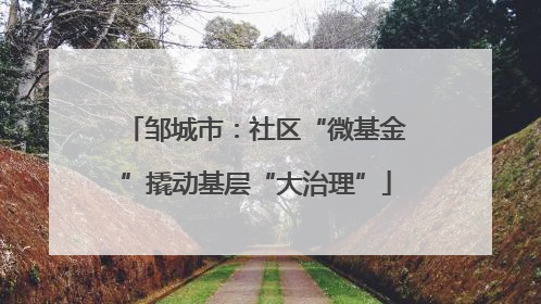 邹城市：社区“微基金”撬动基层“大治理”