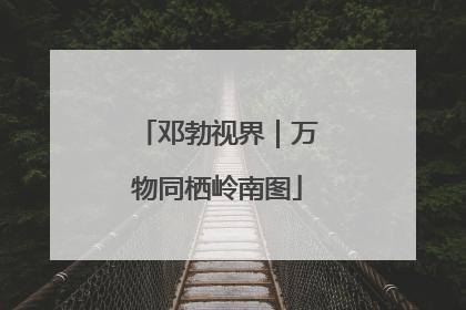 邓勃视界｜万物同栖岭南图