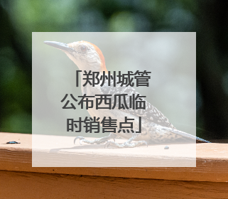 郑州城管公布西瓜临时销售点