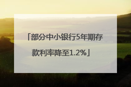 部分中小银行5年期存款利率降至1.2%
