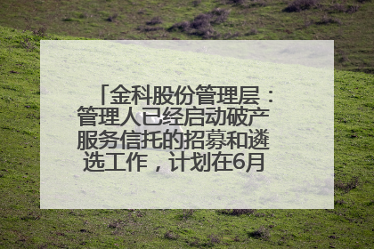 金科股份管理层：管理人已经启动破产服务信托的招募和遴选工作，计划在6月初召开评审会
