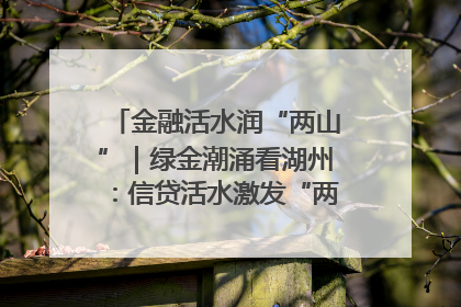金融活水润“两山”｜绿金潮涌看湖州：信贷活水激发“两山”转化势能
