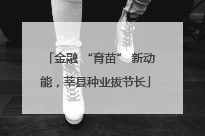 金融 “育苗” 新动能，莘县种业拔节长