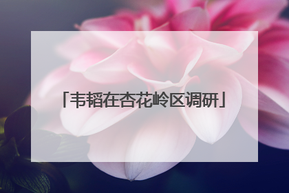韦韬在杏花岭区调研
