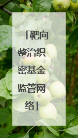 靶向整治织密基金监管网络