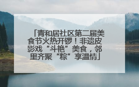 青和居社区第二届美食节火热开锣！非遗皮影戏“斗艳”美食，邻里齐聚“粽”享温情