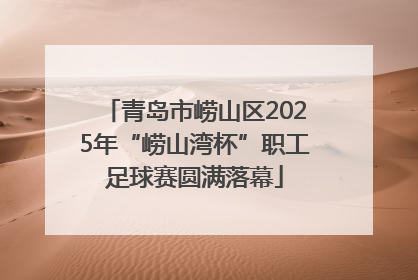 青岛市崂山区2025年“崂山湾杯”职工足球赛圆满落幕