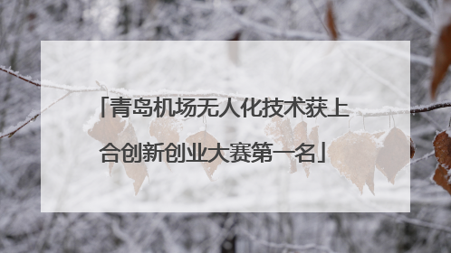 青岛机场无人化技术获上合创新创业大赛第一名