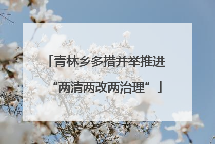 青林乡多措并举推进“两清两改两治理”