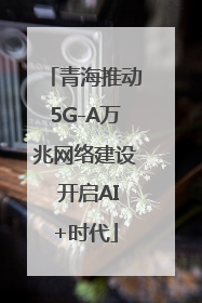 青海推动5G-A万兆网络建设 开启AI+时代