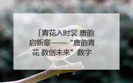 青花入时裳 唐韵启新章——“唐韵青花 数创未来”数字文创设计大赛启幕