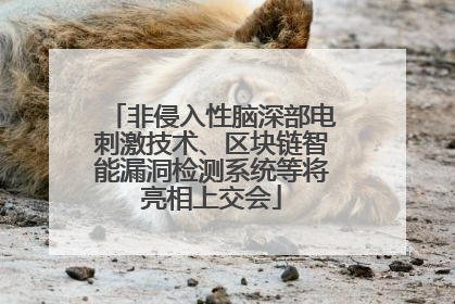 非侵入性脑深部电刺激技术、区块链智能漏洞检测系统等将亮相上交会