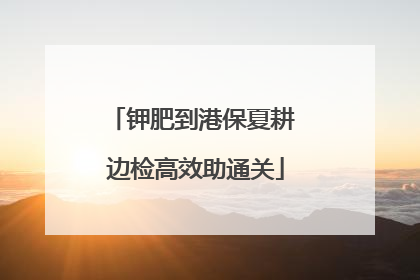 钾肥到港保夏耕 边检高效助通关