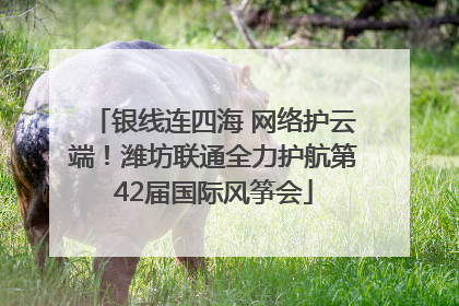 银线连四海 网络护云端！潍坊联通全力护航第42届国际风筝会