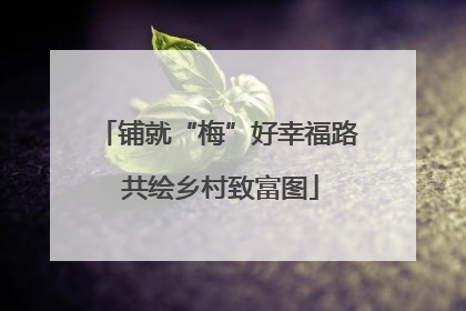 铺就“梅”好幸福路 共绘乡村致富图