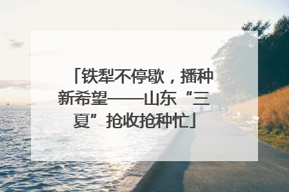 铁犁不停歇，播种新希望——山东“三夏”抢收抢种忙