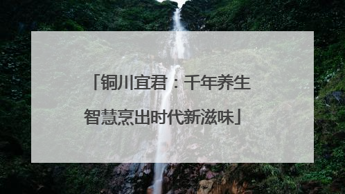 铜川宜君：千年养生智慧烹出时代新滋味
