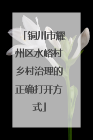 铜川市耀州区水峪村乡村治理的正确打开方式