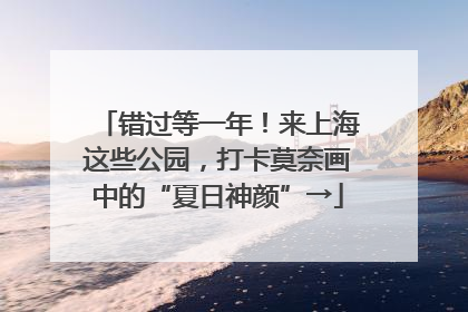 错过等一年！来上海这些公园，打卡莫奈画中的“夏日神颜”→