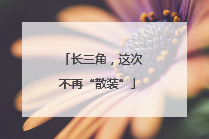 长三角，这次不再“散装”