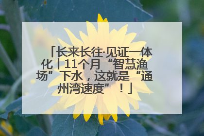 长来长往·见证一体化丨11个月“智慧渔场”下水，这就是“通州湾速度”！