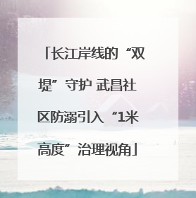 长江岸线的“双堤”守护 武昌社区防溺引入“1米高度”治理视角