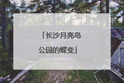 长沙月亮岛公园的蝶变