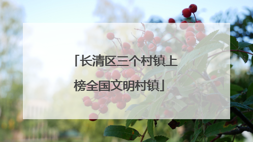 长清区三个村镇上榜全国文明村镇