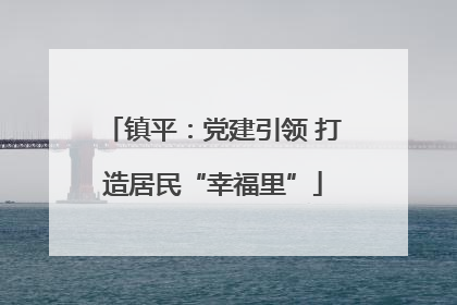 镇平：党建引领 打造居民“幸福里”