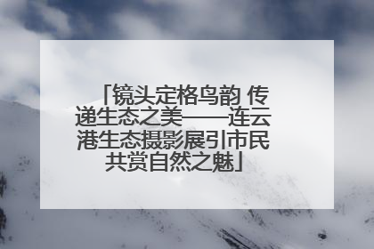镜头定格鸟韵 传递生态之美——连云港生态摄影展引市民共赏自然之魅