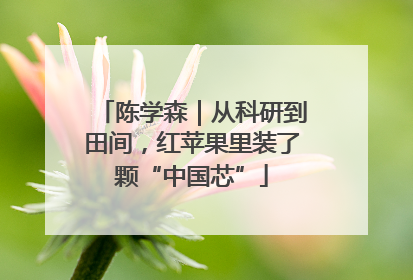 陈学森｜从科研到田间，红苹果里装了颗“中国芯”