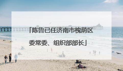 陈鲁已任济南市槐荫区委常委、组织部部长