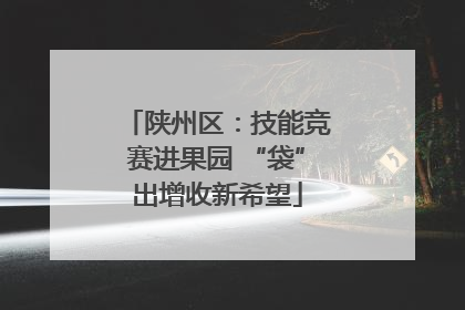 陕州区：技能竞赛进果园 “袋”出增收新希望