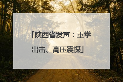 陕西省发声：重拳出击、高压震慑