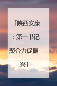 陕西安康：第一书记聚合力促振兴