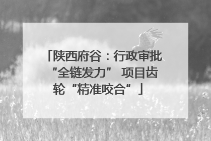 陕西府谷：行政审批“全链发力” 项目齿轮“精准咬合”