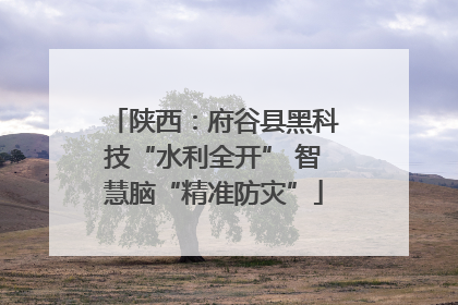 陕西：府谷县黑科技“水利全开” 智慧脑“精准防灾”