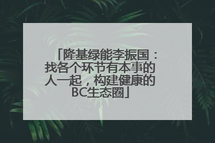 隆基绿能李振国：找各个环节有本事的人一起，构建健康的BC生态圈